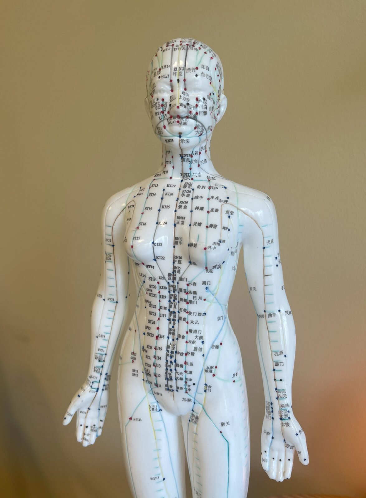 acupunctuur model vrouw met meridianen en acupunctuurpunten